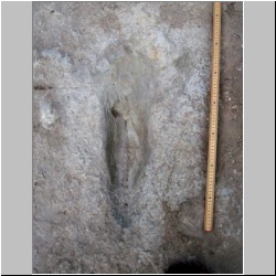 102_6266 (2013-08-08)m.JPG